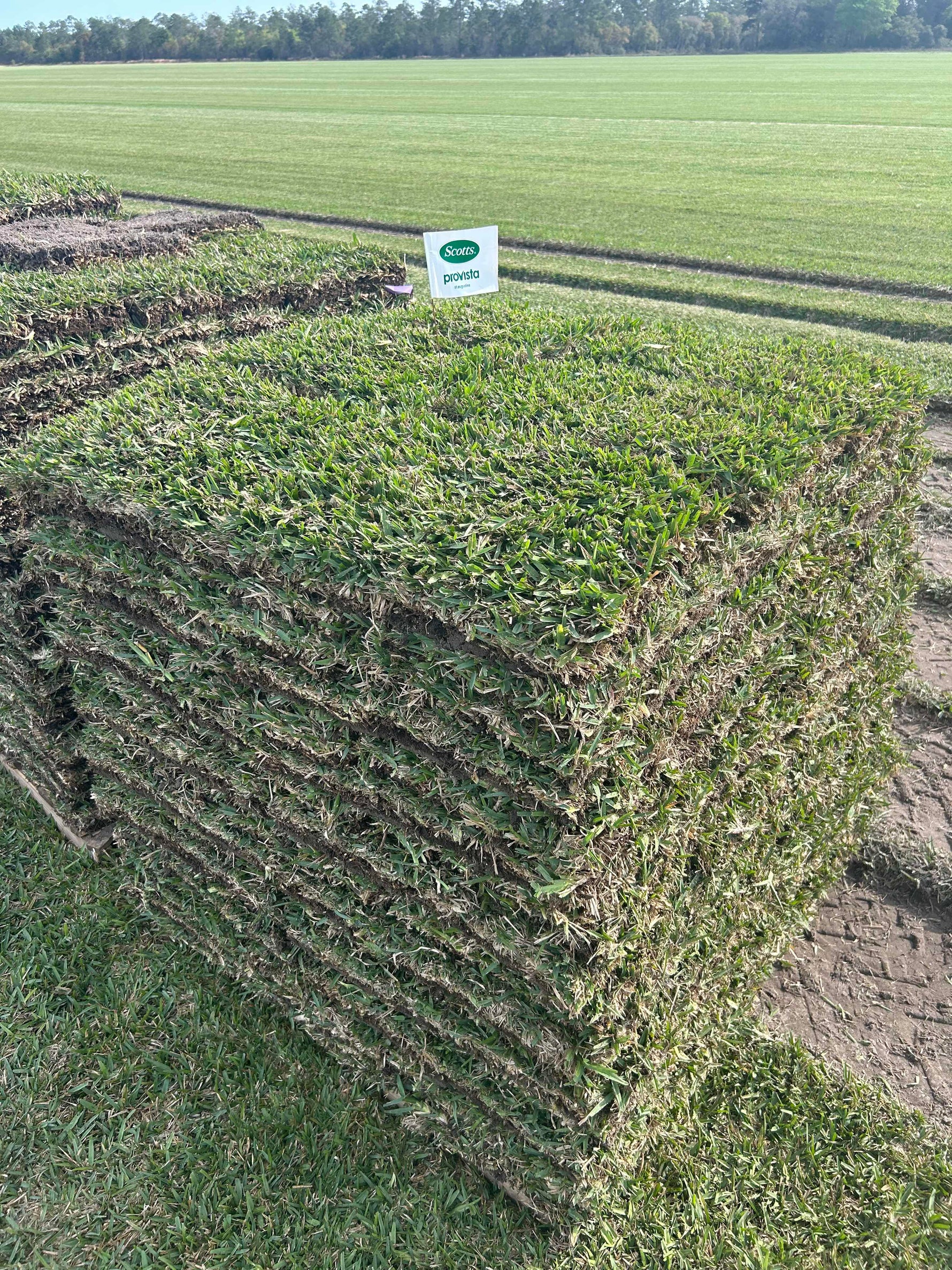 Varieties of Sod – Sodit